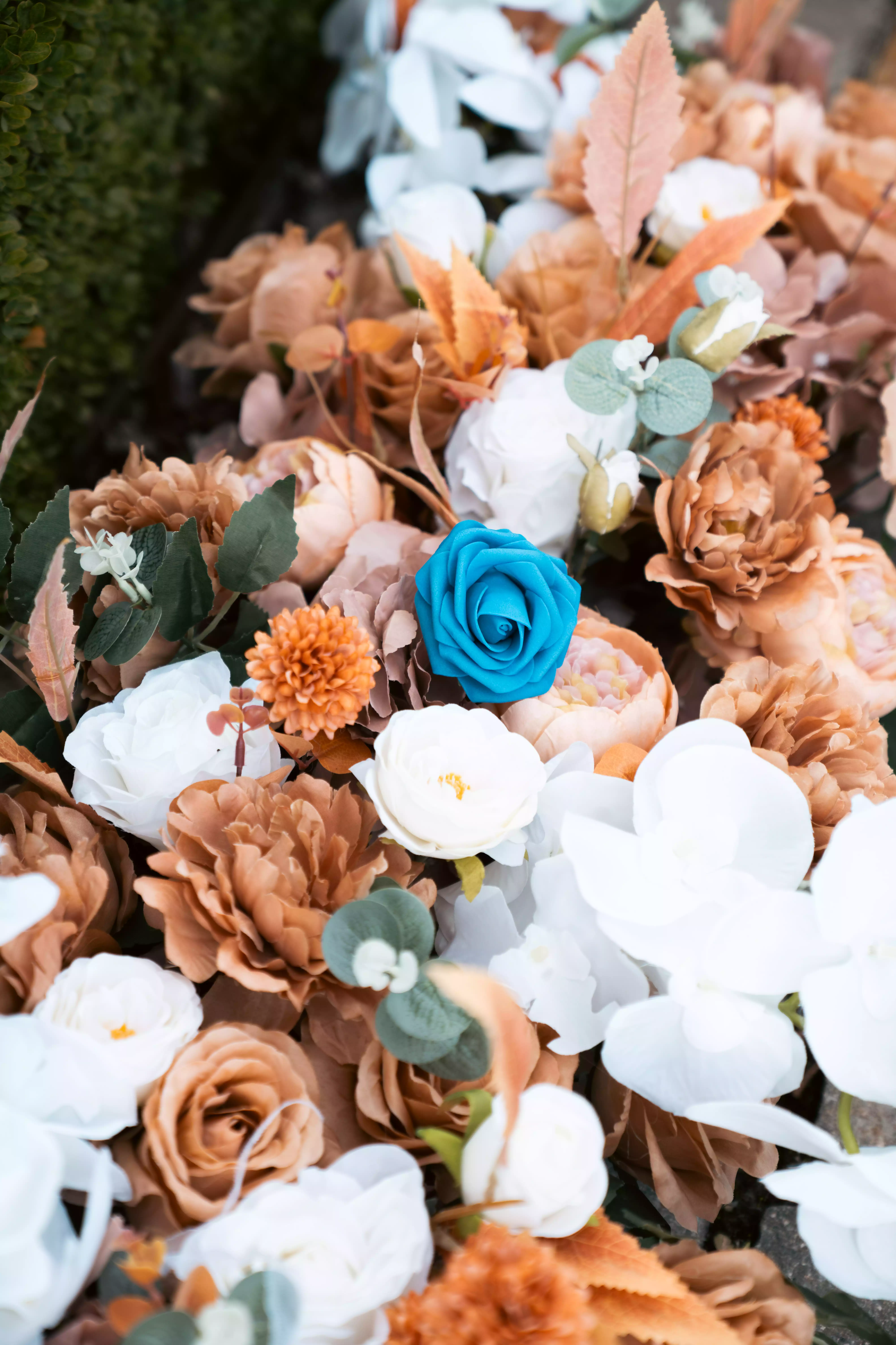 vidéaste mariage alsace